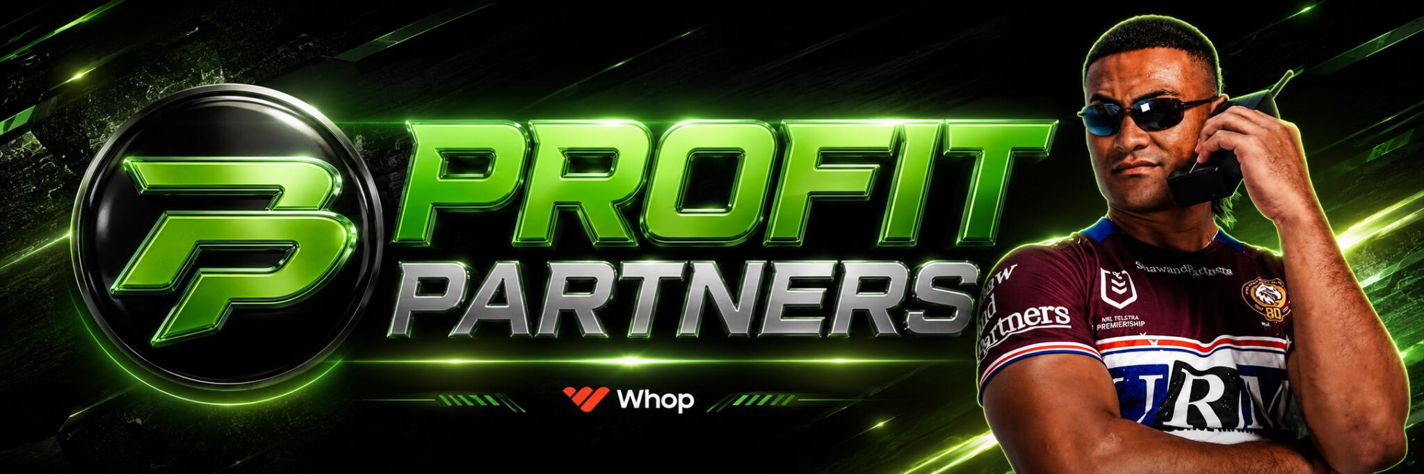Discovery splash banner for β°β°β° PROFIT PARTNERS π Discord server