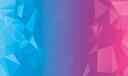 Discovery splash banner for Cardbuddys Discord server