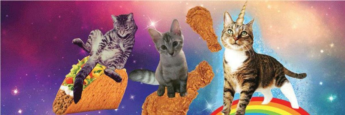 Discovery splash banner for Maow ๐บ | Social & Gatitos Discord server