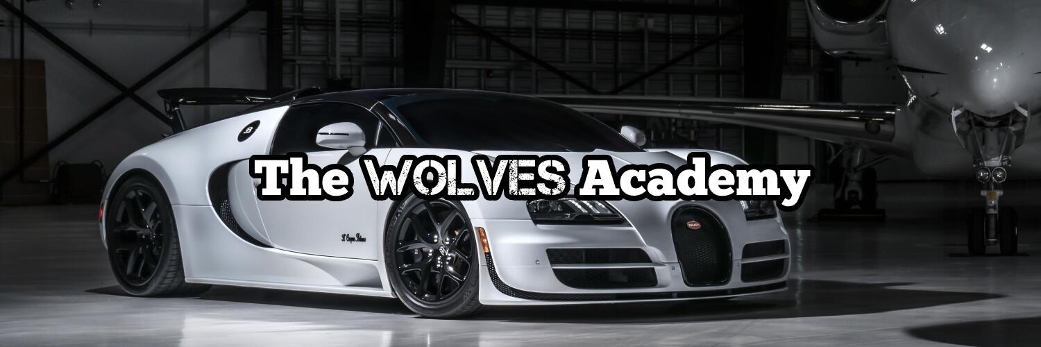Discovery splash banner for The Wolves Academy Discord server