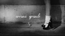 Discovery splash banner for Ariana Grande ꕤ Stream Petal Discord server