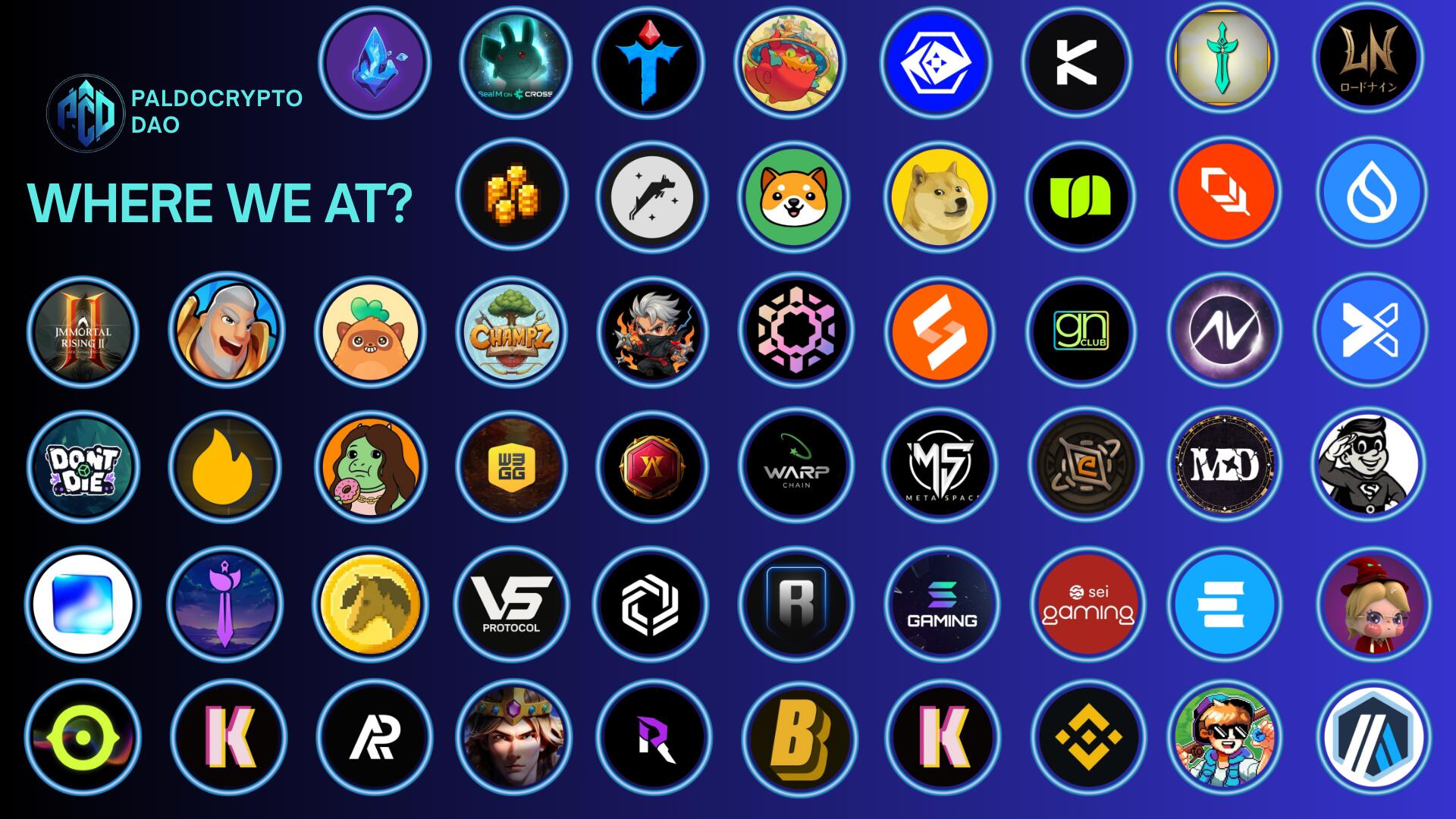 Discovery splash banner for PaldoCrypto DAO Discord server