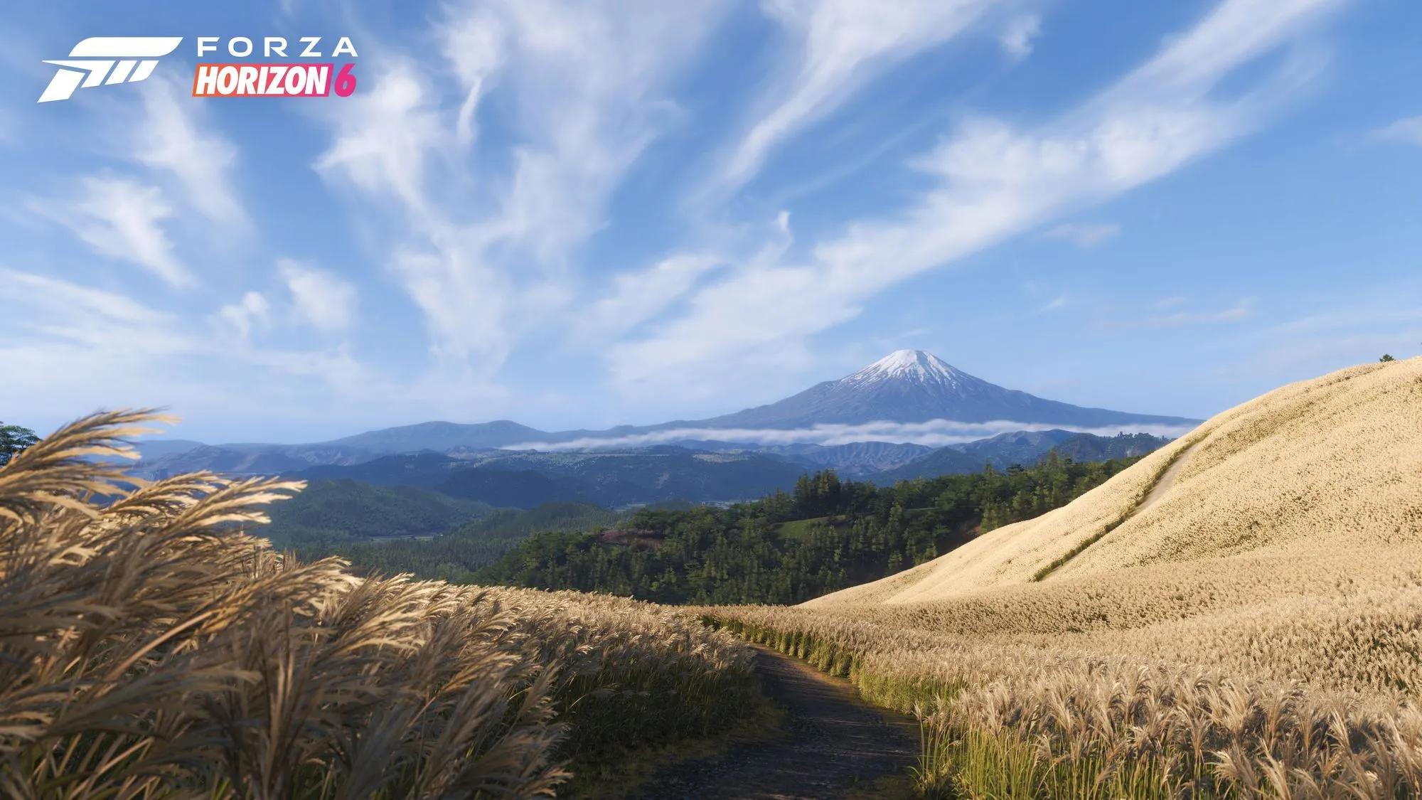 Discovery splash banner for Forza Playground 🇻🇳 Discord server