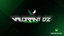 Discovery splash banner for VALORANT DZ Discord server