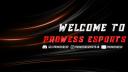 Discovery splash banner for PROWESS ESPORTS š®š³ Discord server