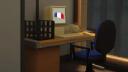 Discovery splash banner for Dale & Dawson France Discord server