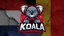 Discovery splash banner for KOALA Gaming 🐨🎮  🇳🇱🇧🇪 Discord server