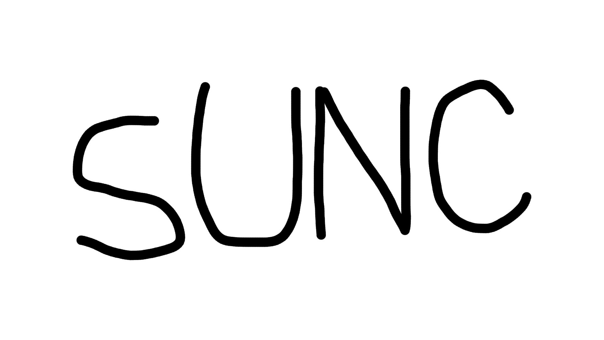 Discovery splash banner for sUNC Discord server