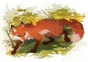 Discovery splash banner for 🐾THE FLUFF NETWORK 🦊 Discord server