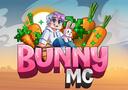 Discovery splash banner for BunnyMC Discord server