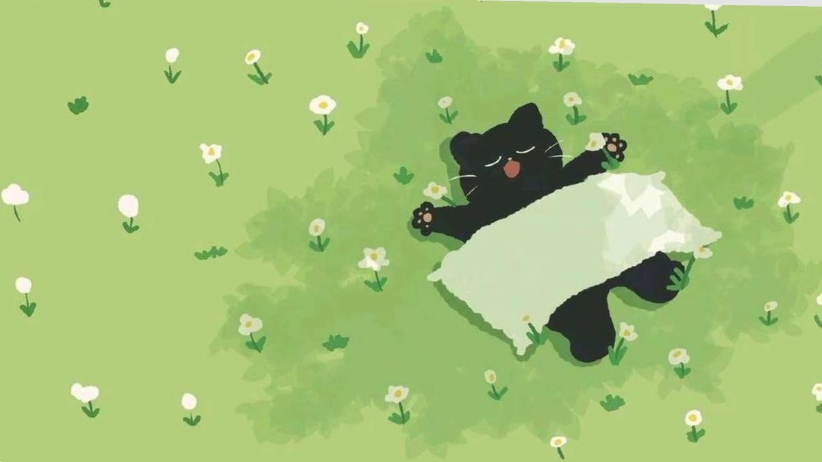 Discovery splash banner for Meow Hub Discord server
