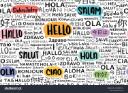 Discovery splash banner for Language Exchange Hub Discord server