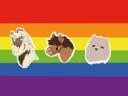 Discovery splash banner for Prideful Discord server