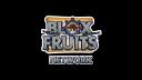 Discovery splash banner for Blox Fruit Network Discord server