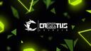 Discovery splash banner for CAGGTUS Discord server