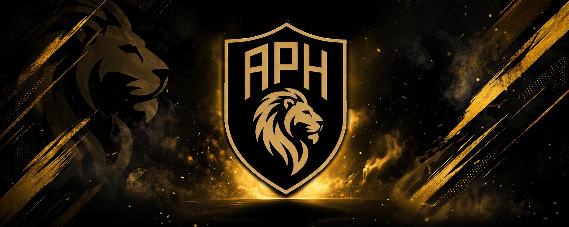 Discovery splash banner for T4 - APH | Premier Discord server