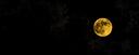 Discovery splash banner for @𝐍𝐢𝐠𝐡𝐭𝐅𝐚𝐥𝐥🌙 Discord server