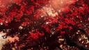 Discovery splash banner for /blinked sociαl ✦ αctive ✦ VC ✦ Nitro ✦ Gwys ✦ Tags ✦ Make Friends ✦ Anime Discord server