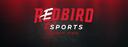 Discovery splash banner for Redbird Esports Discord server