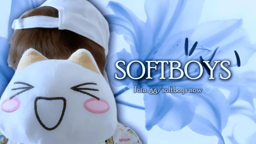 Discovery splash banner for Softboys Discord server