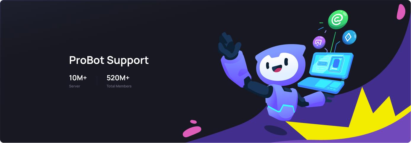 Discovery splash banner for ProBot Support Discord server