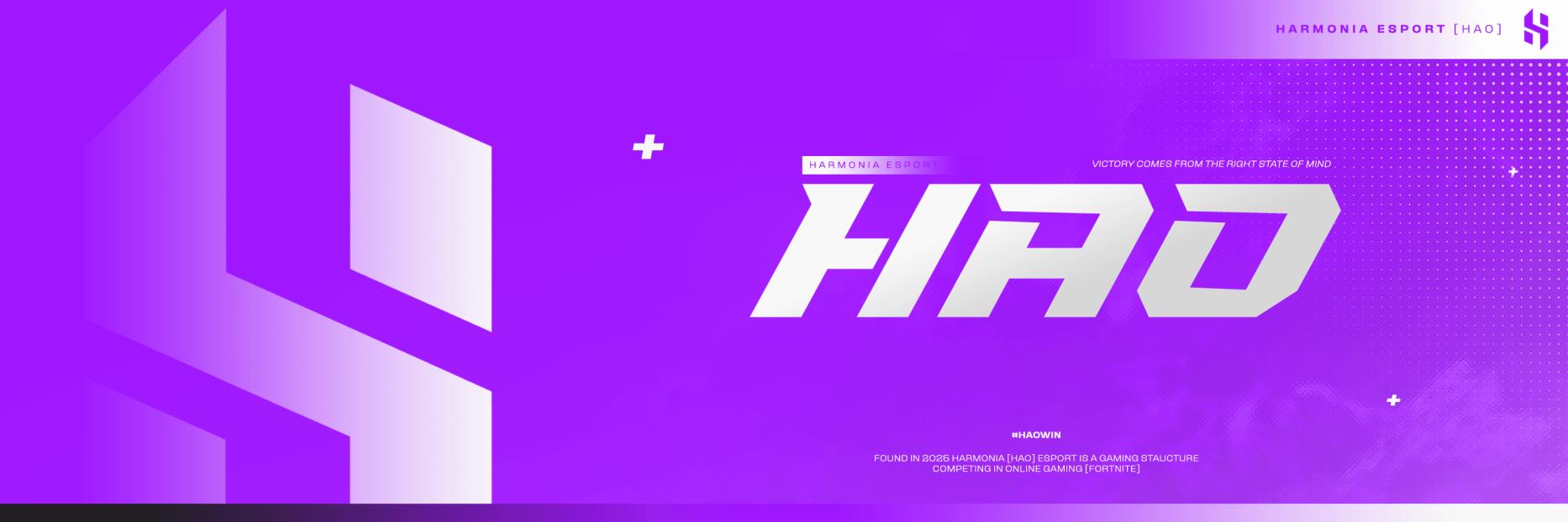 Discovery splash banner for HAO E-Sport Discord server