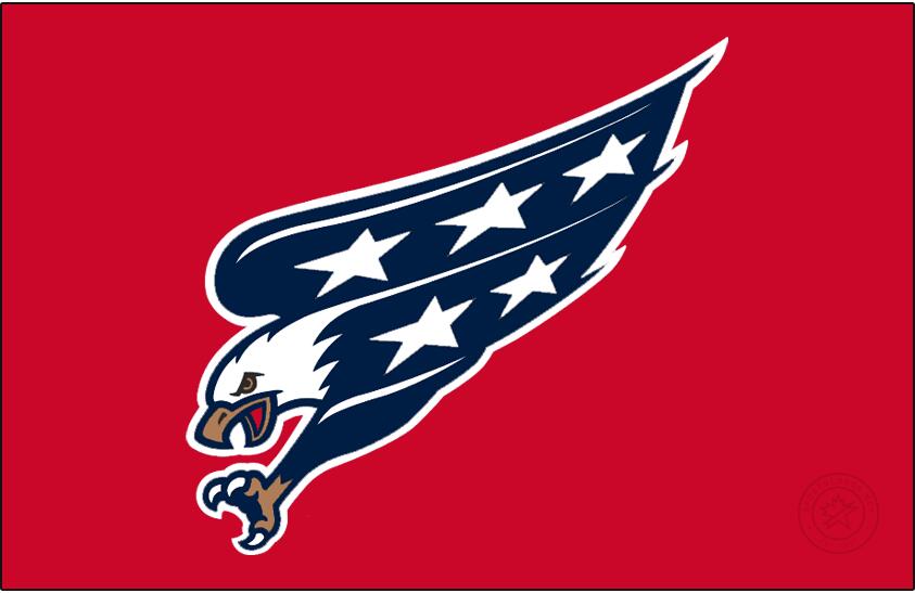 Discovery splash banner for Washington Capitals Discord server