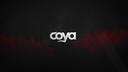 Discovery splash banner for Coya Discord server