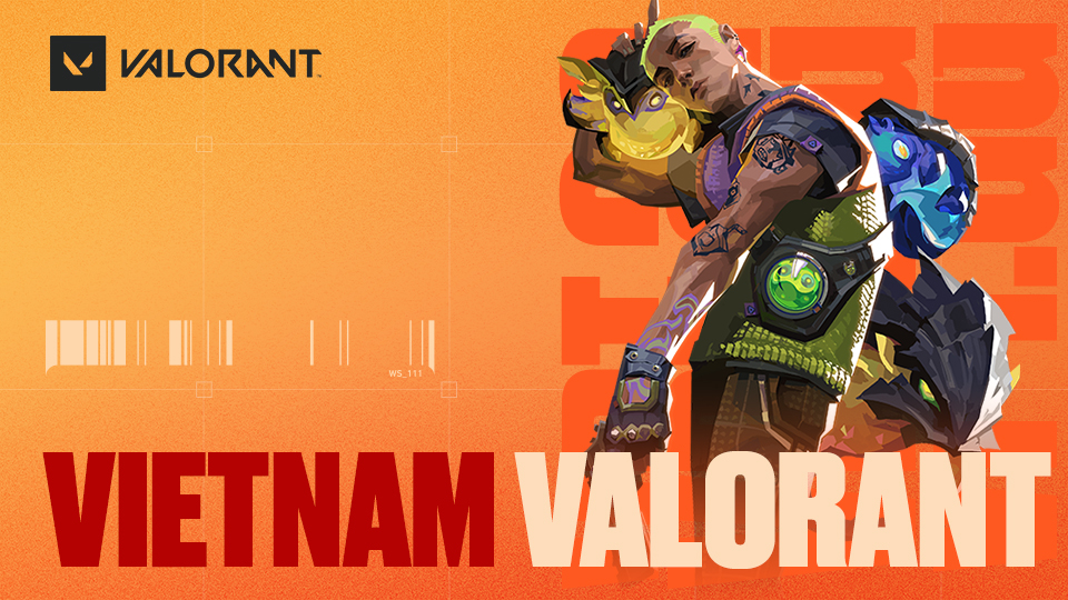 Discovery splash banner for Valorant Vietnam Community Discord server