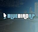 Discovery splash banner for BlueBirdRP Discord server