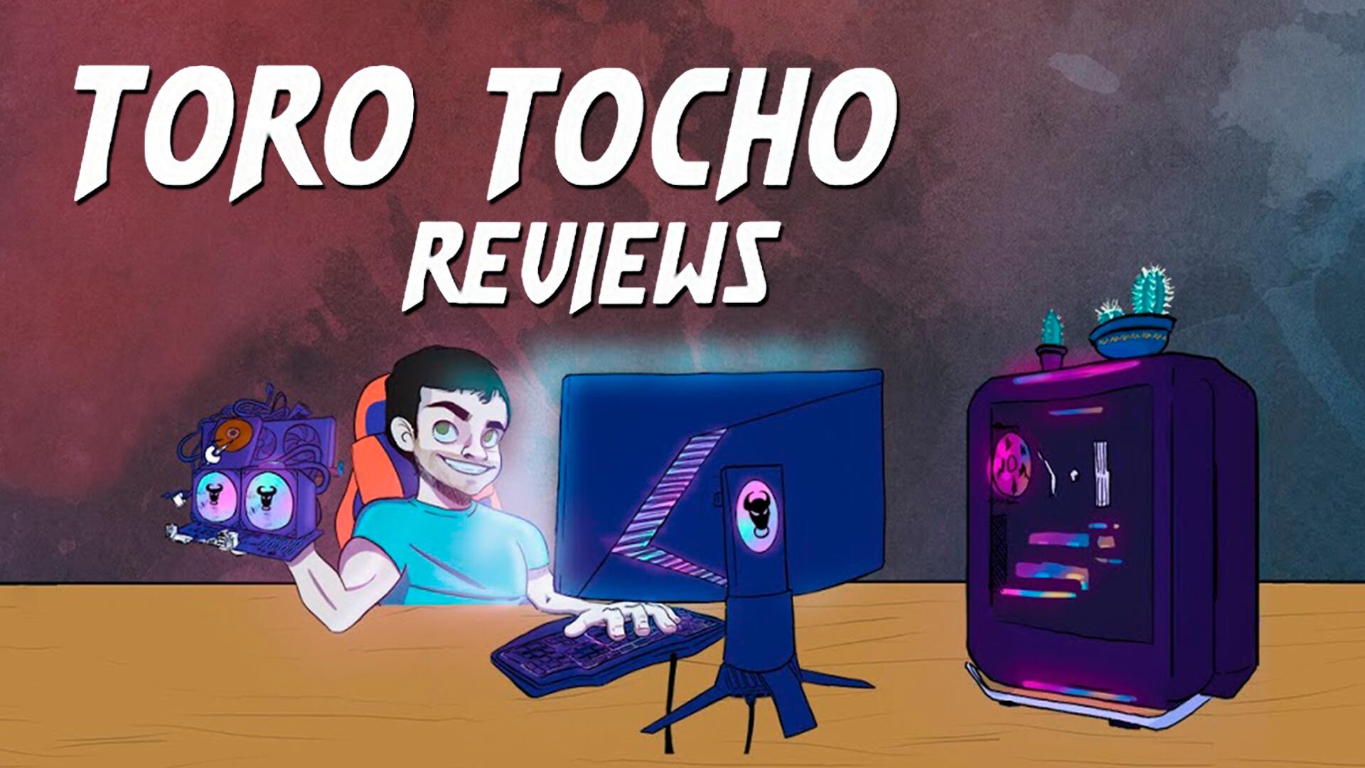 Discovery splash banner for Toro Tocho Reviews Discord server