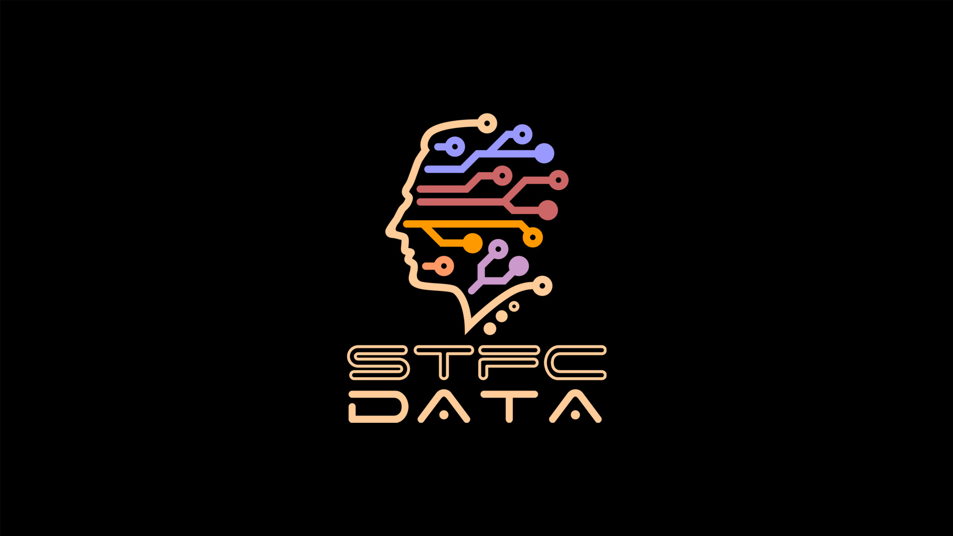 Discovery splash banner for Data Discord server