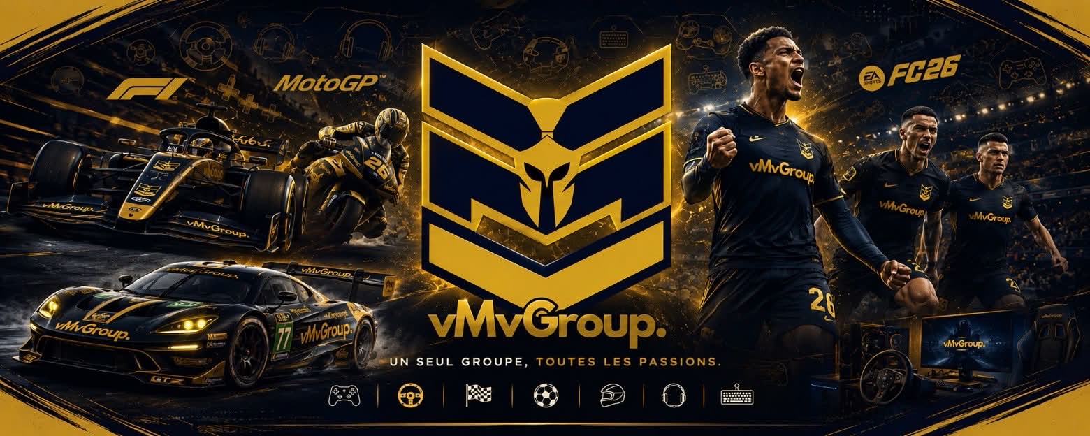 Discovery splash banner for vMvGroup. | VilVinde Multigaming 🇫🇷 Discord server
