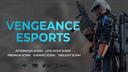 Discovery splash banner for Vengeance Esports Discord server