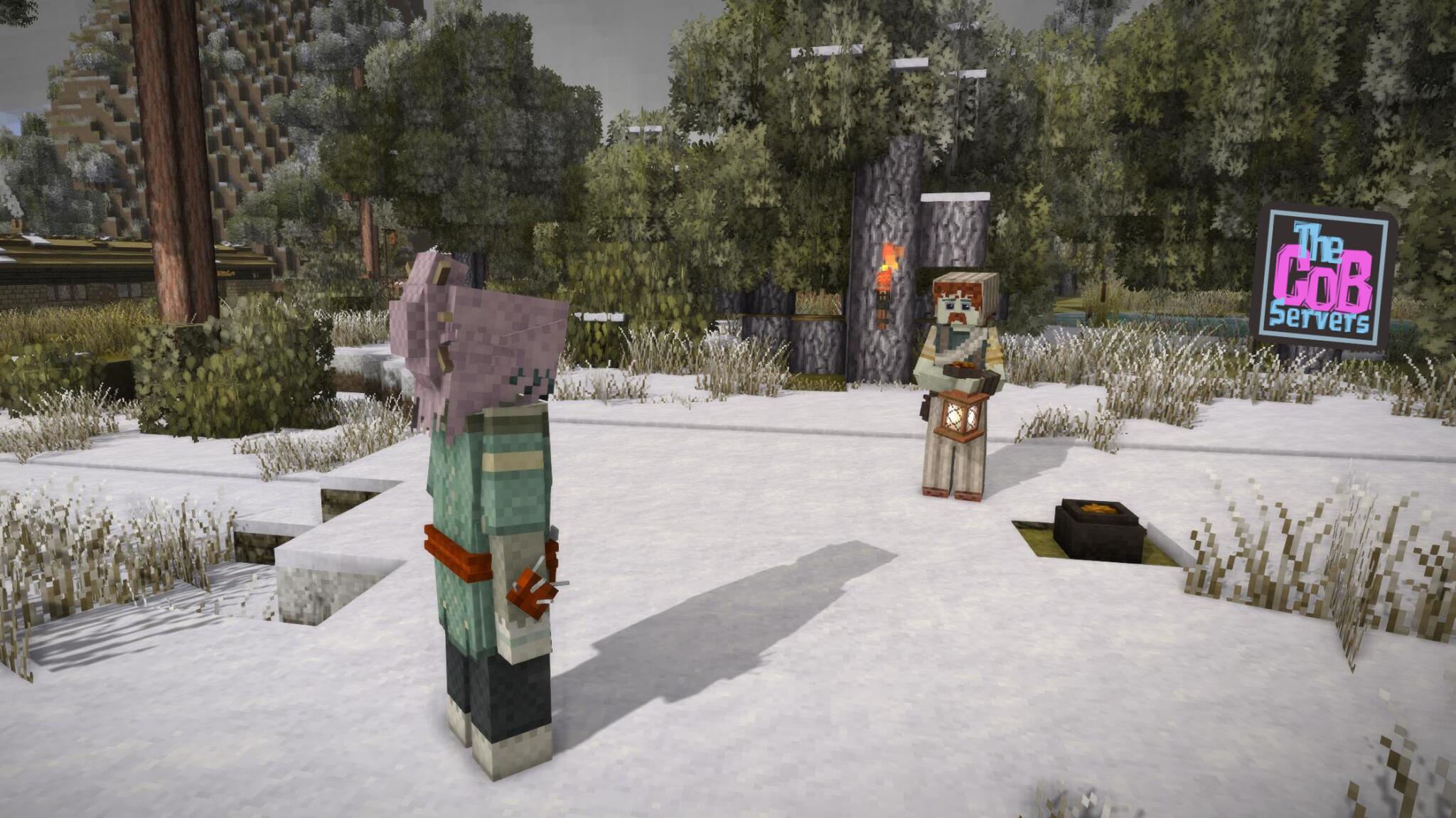 Discovery splash banner for Conquest of Blocks Discord server
