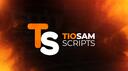 Discovery splash banner for TioSam Scripts Discord server