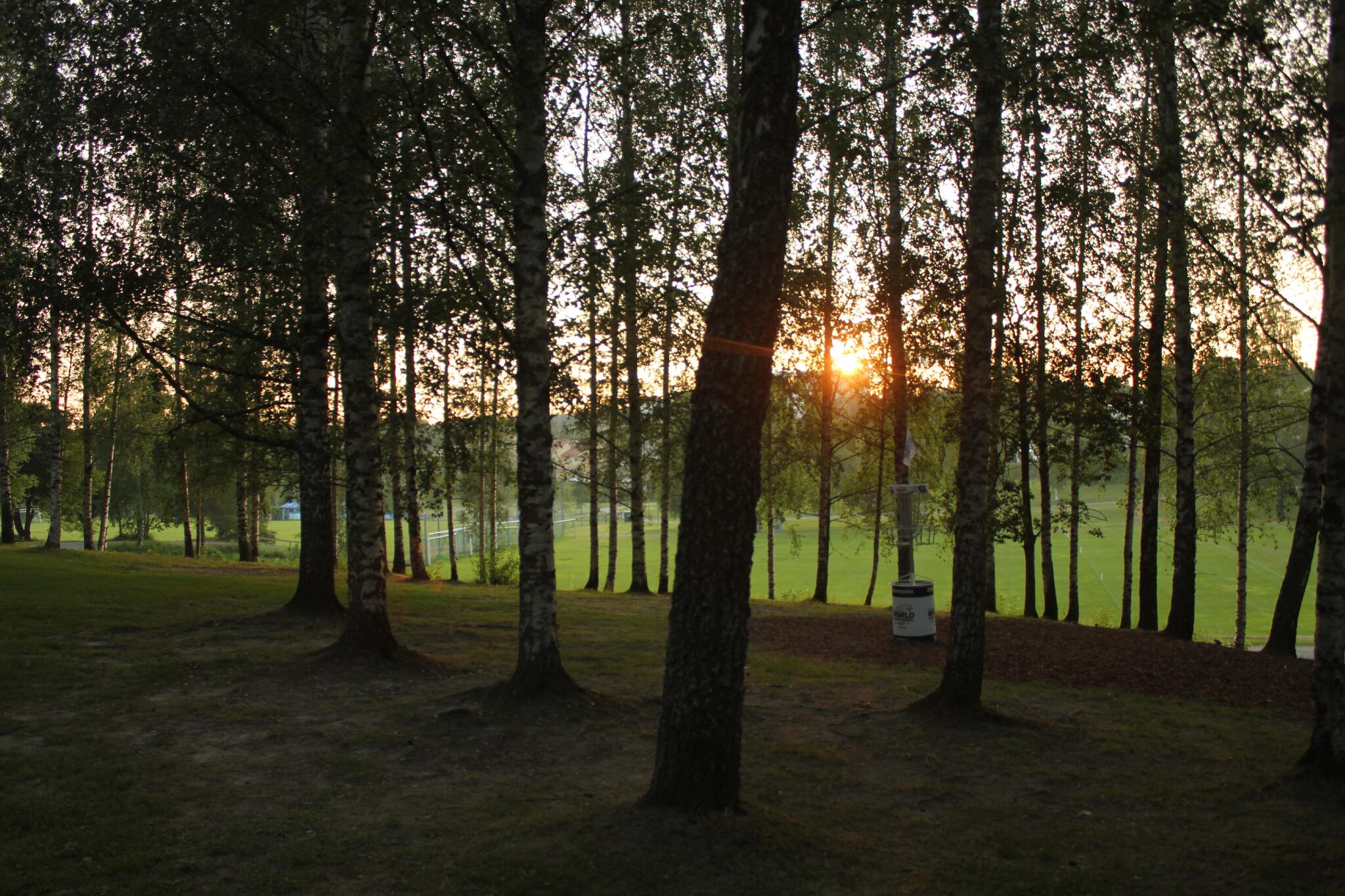 Discovery splash banner for Disc Golf @ Finland Discord server
