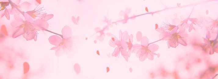 Discovery splash banner for CLUB CLICHÉ Discord server