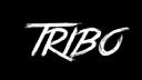 Discovery splash banner for TRIBO Discord server