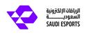 Discovery splash banner for Saudi Esports Federation Discord server