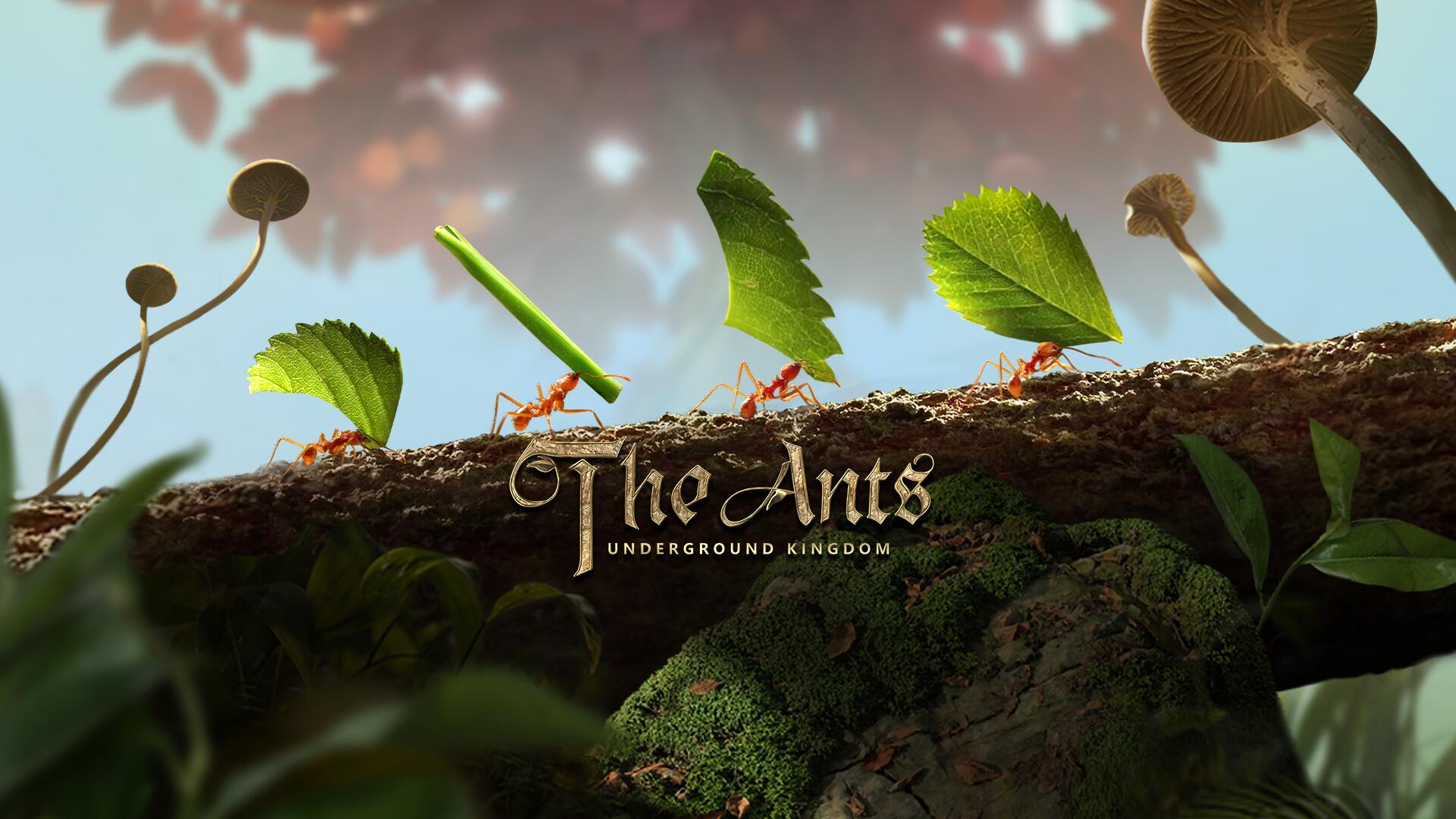 Discovery splash banner for The Ants Official Discord server