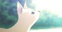 Discovery splash banner for Cat Kingdom ★ Discord server