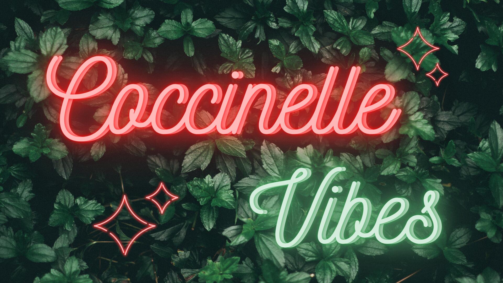 Discovery splash banner for Coccinelle 🐞 Discord server
