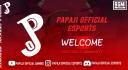 Discovery splash banner for PPJ ESPORTS Discord server