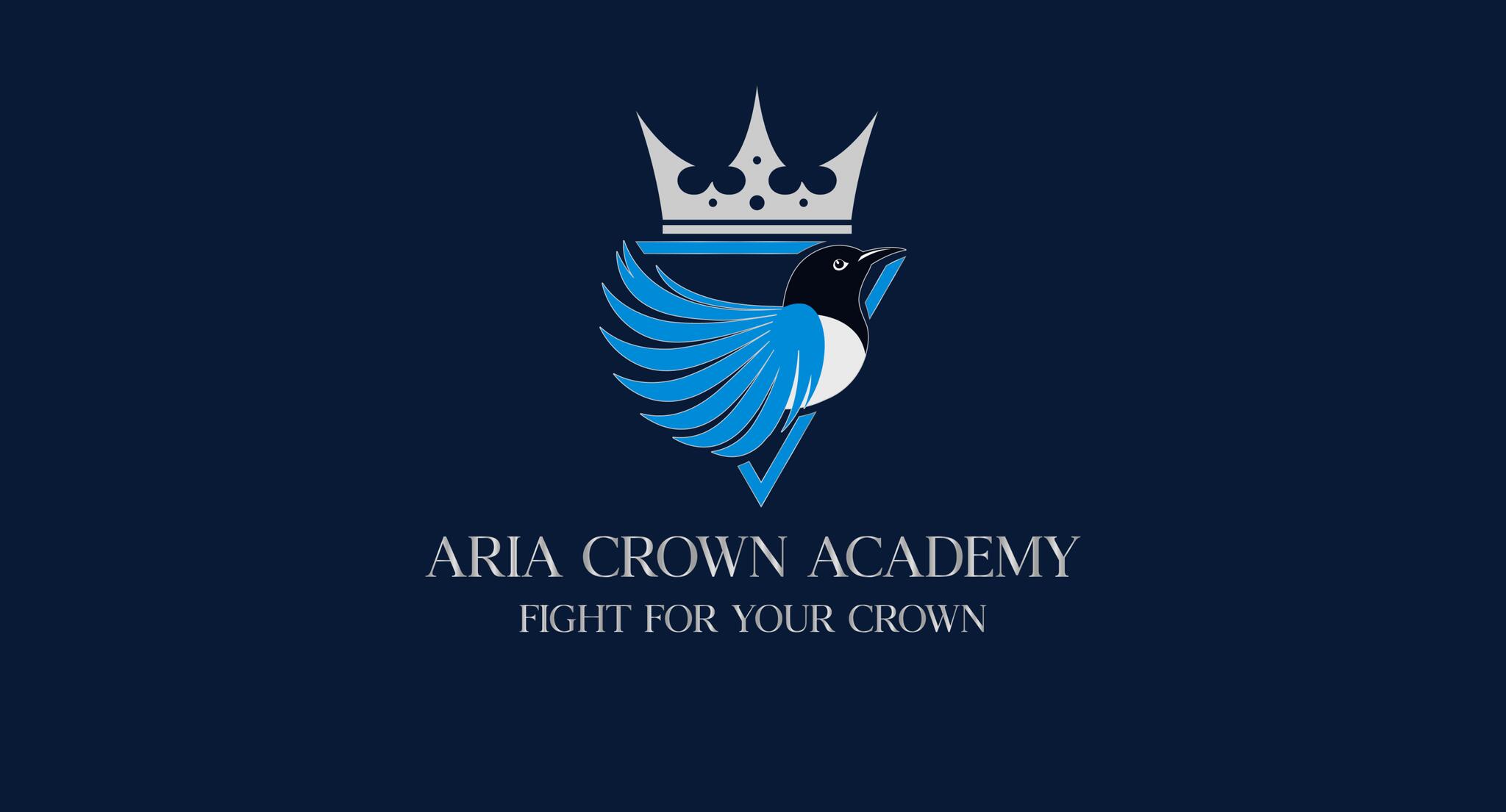 Discovery splash banner for Aria Drama & Voice Discord server