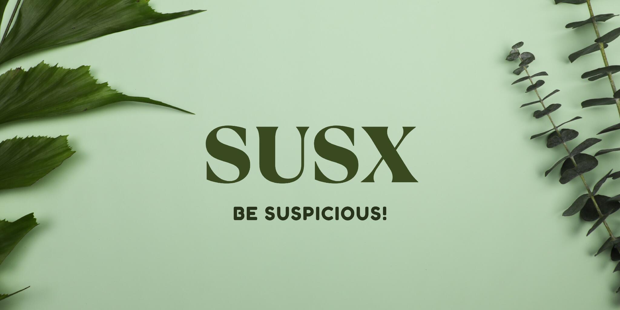 Discovery splash banner for SUSX Discord server