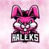 Discovery splash banner for HaleksTV Discord server