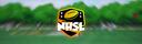 Discovery splash banner for NHSL | Season XXXI Discord server