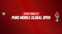 Discovery splash banner for PUBG MOBILE ESPORTS Discord server