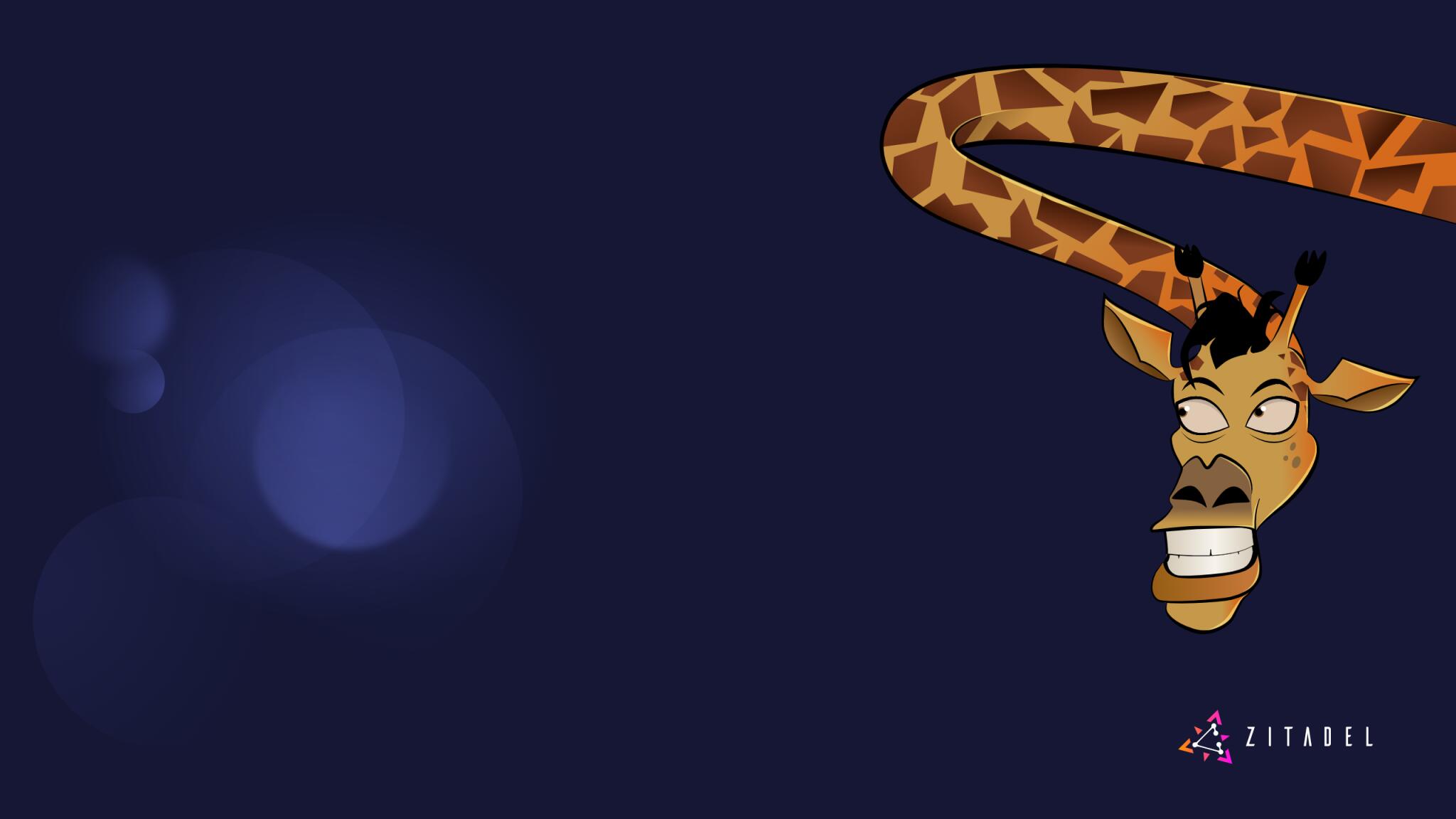 Discovery splash banner for ZITADEL Discord server